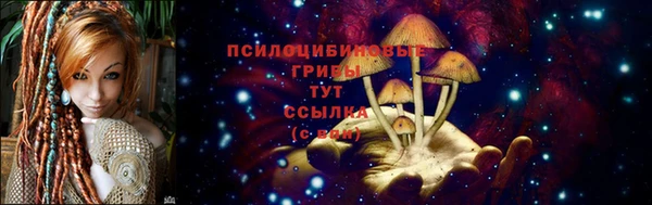прущие грибы Богородск