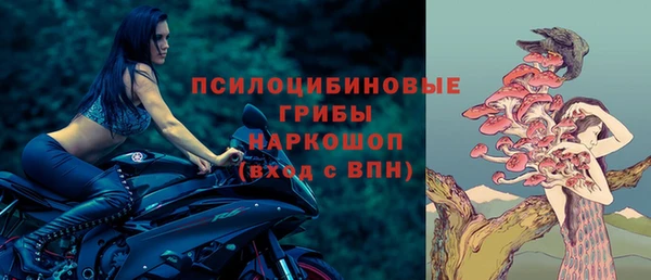 прущие грибы Богородск